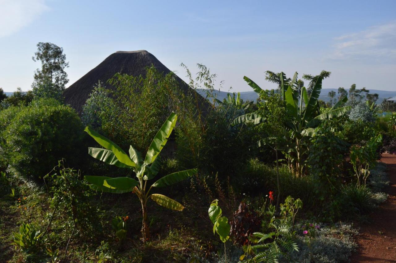Rutete Eco Lodge Rwinkwavu Экстерьер фото