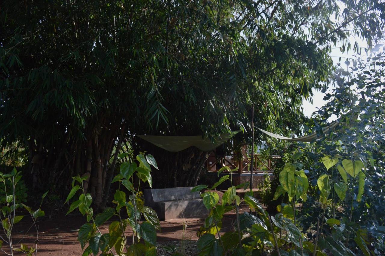 Rutete Eco Lodge Rwinkwavu Экстерьер фото
