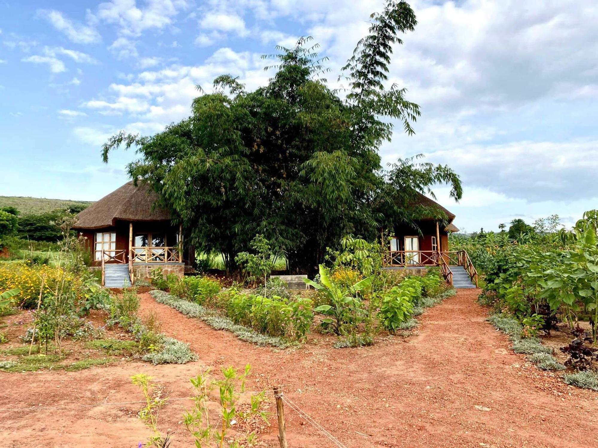 Rutete Eco Lodge Rwinkwavu Экстерьер фото